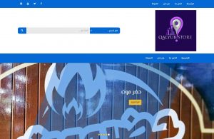 Commercial and service directory website