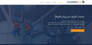 تصميم مواقع لشركات النظافة