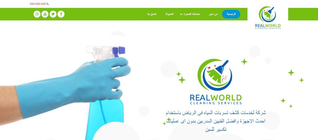 Realworld website design