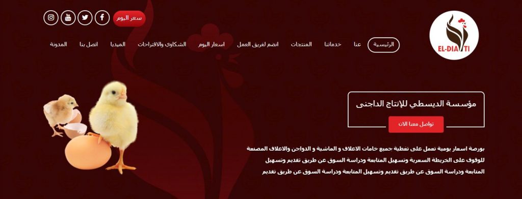 Al-Daysti website design for poultry production