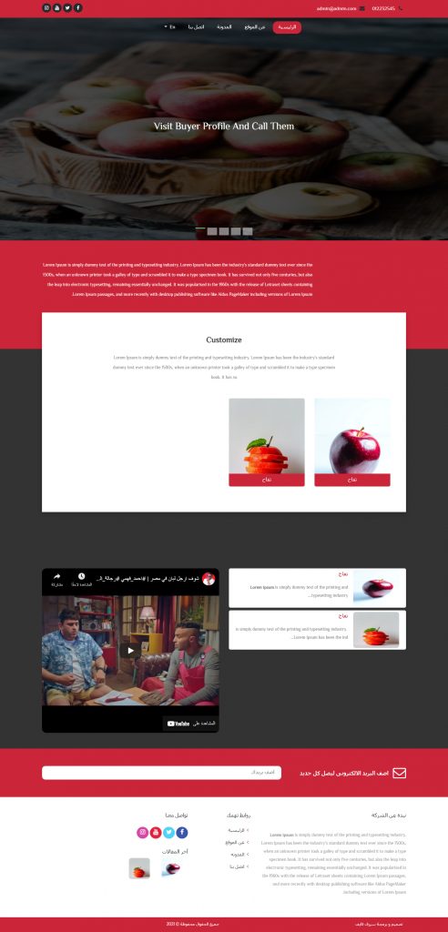Tolba website design for accounts