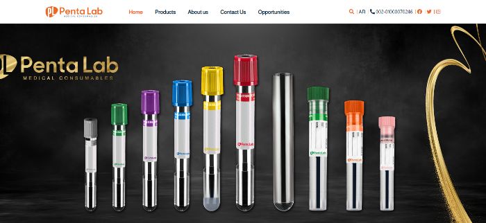 Penta Lab website design