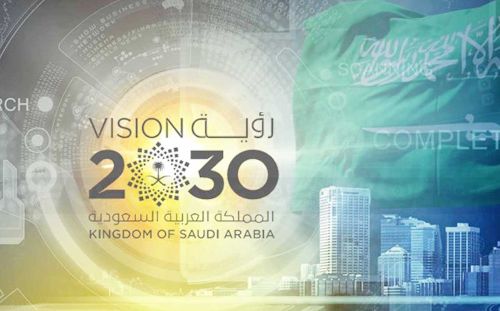 شركة برمجة مواقع في السعودية-رؤية 2030