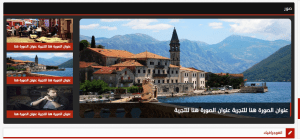Design of the Omani Law website